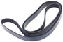 INA Serpentine Belt