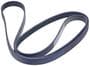 INA Serpentine Belt