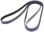 INA Serpentine Belt