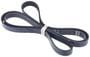 INA Serpentine Belt