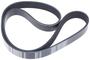 INA Serpentine Belt