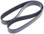INA Serpentine Belt