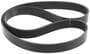 INA Serpentine Belt
