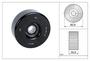 INA Accessory Drive Idler Pulley