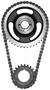 INA Timing Chain Set
