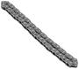 INA Oil Pump Chain
