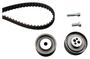 INA Timing Belt Kit