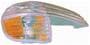 Keystone Collision Turn Signal Lens/Assembly