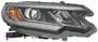 Keystone Collision Headlight Assembly
