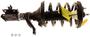 KYB Strut Plus Strut And Coil Spring Assembly