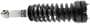 KYB Truck-Plus Strut And Coil Spring Assembly