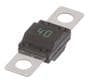 Littelfuse 40 Amp Fuse