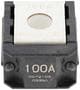 Littelfuse 100 Amp ZCASE Fuse