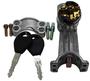 LockSmart Gray, Silver Ignition Switch
