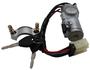 LockSmart Gray, Silver Ignition Switch