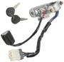 LockSmart Silver, White Ignition Switch