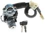 LockSmart Black, Silver Ignition Switch