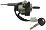 LockSmart Black, Silver Ignition Lock Cylinder