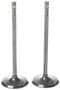 MAHLE Intake Valve