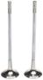 MAHLE Exhaust Valve