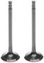 MAHLE Exhaust Valve
