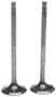 MAHLE Engine Exhaust Valve