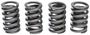 MAHLE Valve Spring