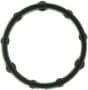 MAHLE Oil Cooler Gasket
