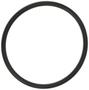 MAHLE Water Pump Gasket