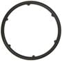 MAHLE Water Pump Gasket