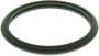 MAHLE Coolant Outlet Gasket