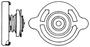 MAHLE BEHR Radiator Cap