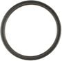 MAHLE Catalytic Converter Gasket