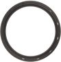 MAHLE Crankshaft Seal