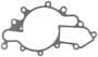 MAHLE Water Pump Gasket