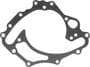 MAHLE Water Pump Mounting Gasket
