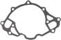 MAHLE Water Pump Gasket
