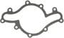 MAHLE Water Pump Gasket