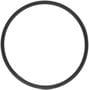 MAHLE Water Pump Gasket