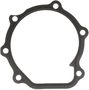 MAHLE Water Pump Backing Plate Gasket