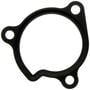 MAHLE Water Pump Gasket