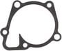 MAHLE Water Pump Gasket