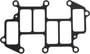 MAHLE Plenum Gasket