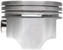 MAHLE Piston