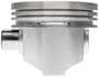 MAHLE Piston