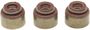 MAHLE Valve Stem Oil Seal Set