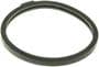 Murray Temperature Control Thermostat Seal