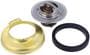 Murray Plus 160 Degree Thermostat