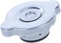 Murray 4 psi Coolant Reservoir Cap