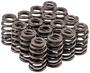 Melling Select Performance Valve Spring Kit